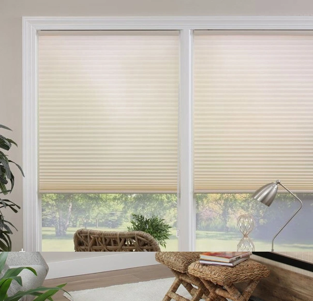 Honeycomb Blinds